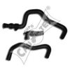 CAUTEX 031108 Radiator Hose